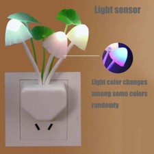 3 Pilz Lotusblatt LED