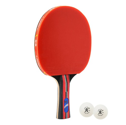 Tischtennisschläger ittf - tischtennisschläger,