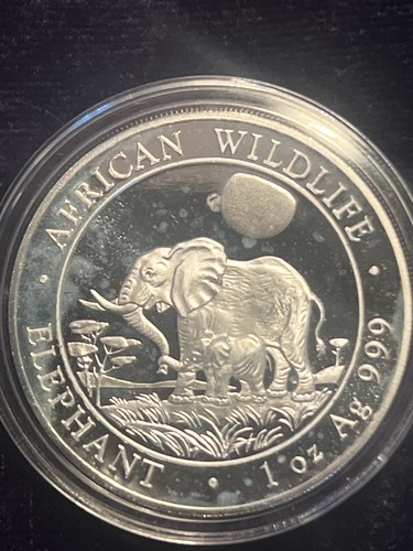 Somalia elefant 2011 - elefant, oz