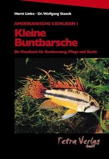 Amerikanische cichliden - amerikanische, i