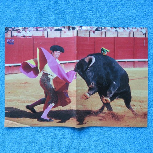Torero stier stierkampf poster - stier,