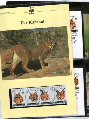Wwf 1998 somalia - 1998,
