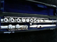 Haynes wms hmri vollsilber - wms, -hmri-
