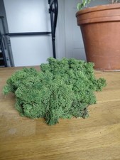 Premium - Islandmoos 100 g