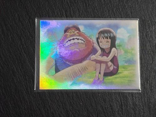 Panini one piece - piece, 25th
