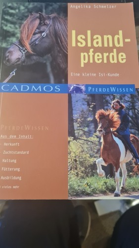 Islandpferde eine kleine - eine,