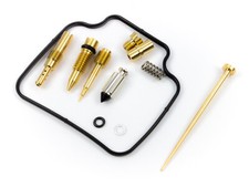 Vergaser Reparatur Satz