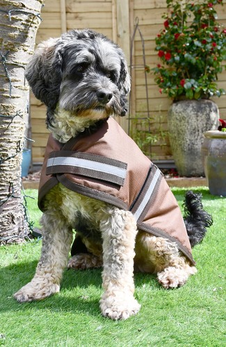 Rhinegold hundemantel - rhinegold,
