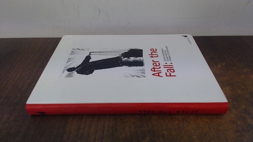 After the fall - after,