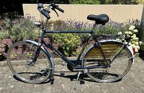 Gazelle populair - gazelle,