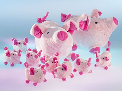 Schweinchen loulou in - schweinchen,