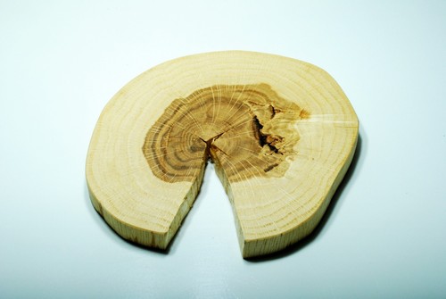 Baumscheibe roteiche 12cm - baumscheibe,