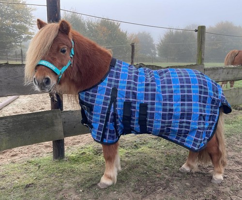 Neue 100cm 1200d shetty pony - neue,