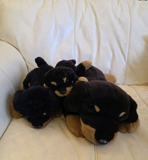 21 ZOLL GROSSER KIEL