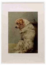 Graf Maud 1864 1943 Der