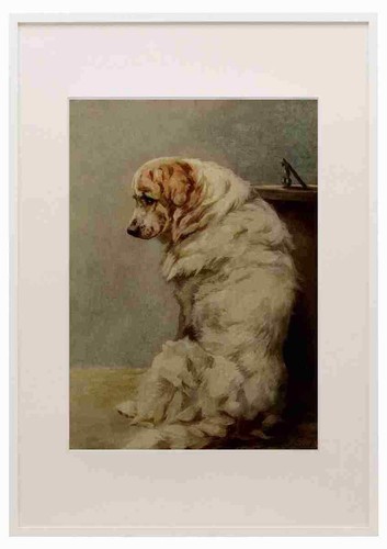 Graf maud 1864 1943 der - graf,
