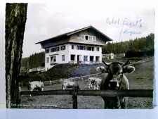 Allgäu. Cafe und Pension Honold, Haldenwang im Allgäu, Gebäudeansicht, Weide mit