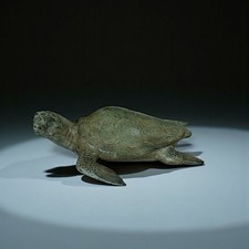 Bronze Schildkröte Indonesien
