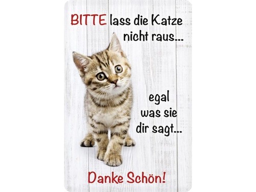 Katze nicht raus egal - katze,