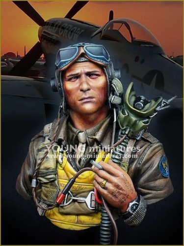 Young miniatures usaaf - young,