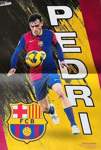Poster fcb barcelona pedri - poster,