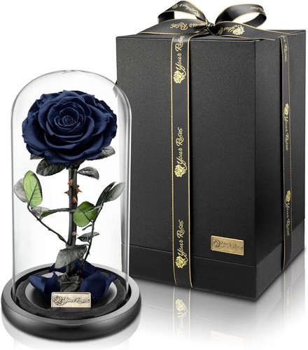Konservierte rose glas - rose,