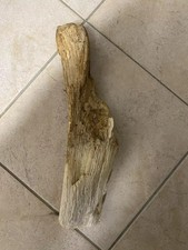 Treibholz Schwemmholz