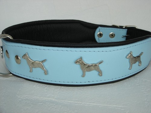 Bullterrier hundehalsband - hundehalsband,