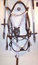 Luxus mexikanisch Trense +