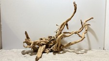 rote Moorwurzel Redwood