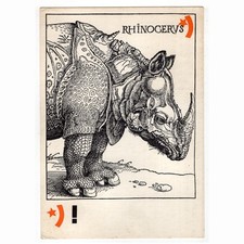 Künstler-AK Rhinoceros