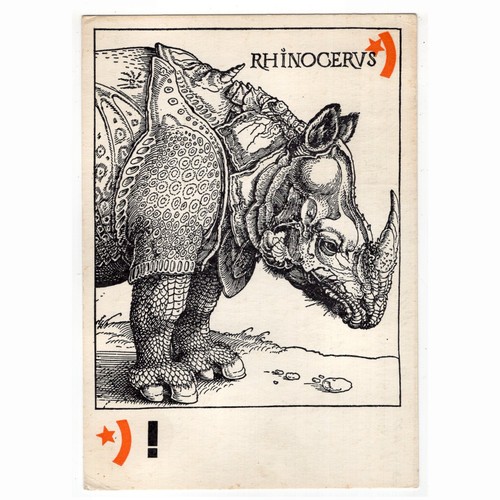 Künstler rhinoceros - künstler-ak,