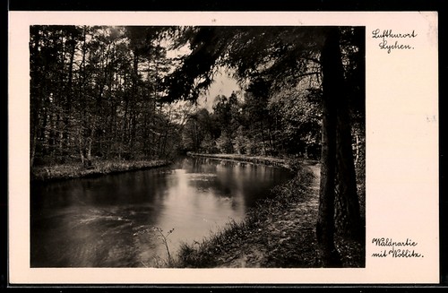 Lychen waldpartie mit - lychen,,