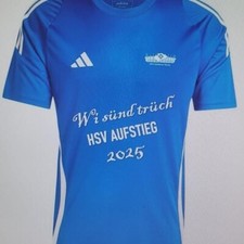 HSV Aufstiegsshirt 2025 adidas