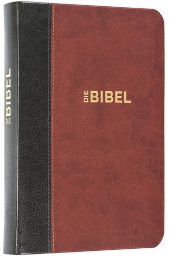 Schlachter 2000 bibel - schlachter,