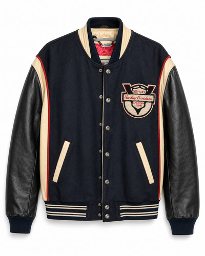 Harley davidson 50th - harley-davidson,