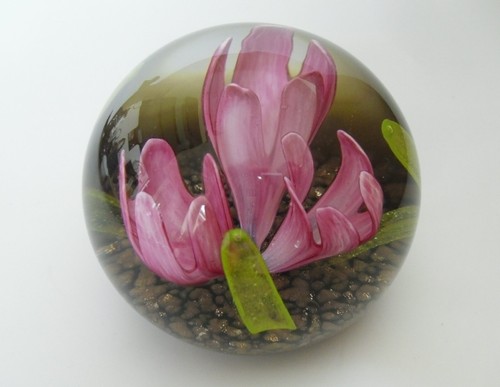 Ltd caithness springtime - ed,