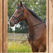 Busse Martingal STANDARD PRO