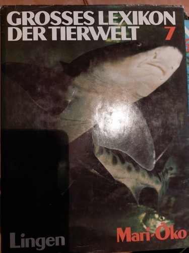 Lingen verlag grosses lexikon - lingen,