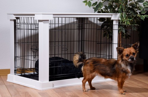 Design hundekäfig hundebox - design,