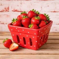 AltoBelli Obstschale BERRY Rot
