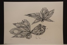 Paul Flora (1922-2009 Innsbruck Österrreich) - Vogelfrau - Lithographie - 6/203