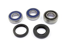 Radlager Satz 25-1419 hinten