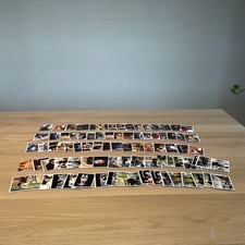 101 Dalmatiner - Panini