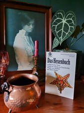 schönes Vintage HEXENBUCH