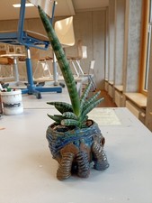 Pflanztopf Blumentopf