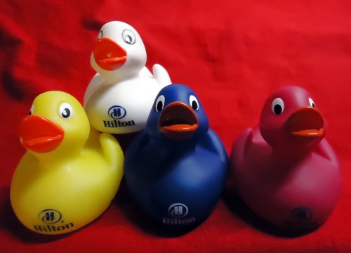 Hilton hotels badeente - hilton, 6cm
