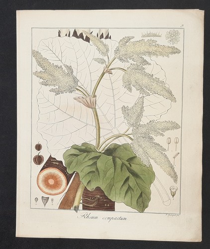 Kupferstich 1835 text - kupferstich, um