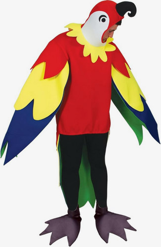 Erwachsene polly papagei vogel - polly,