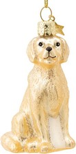 SIKORA Golden Retriever Glas